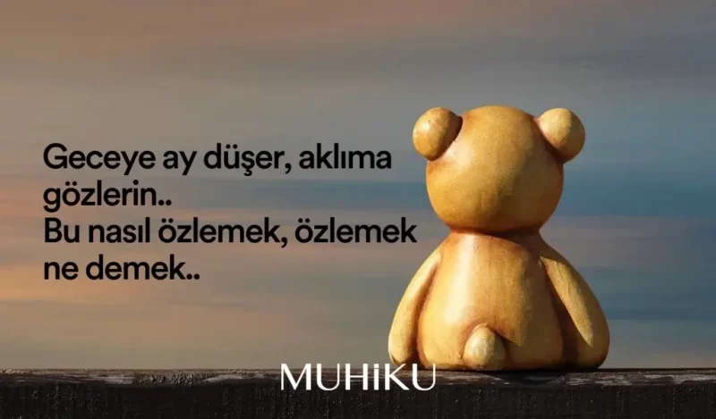 nazim-hikmet-hasret-sozleri