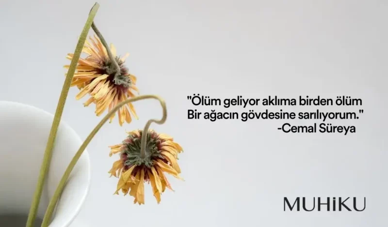 sairlerin-olum-ile-ilgili-sozleri