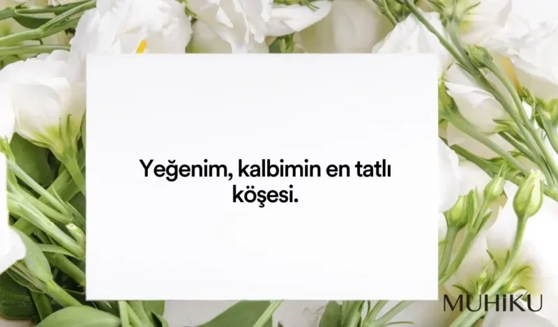 teyze-yegen-sozleri-kisa