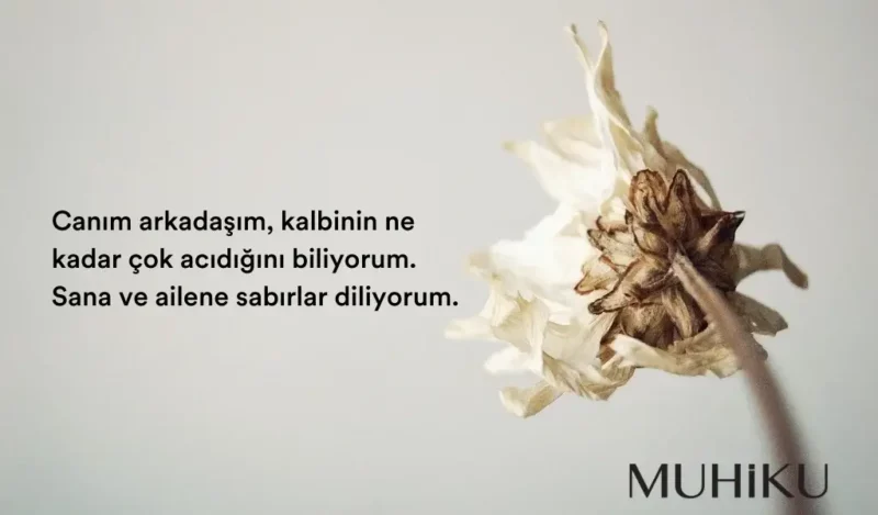 arkadasa-bassagligi-mesajlari