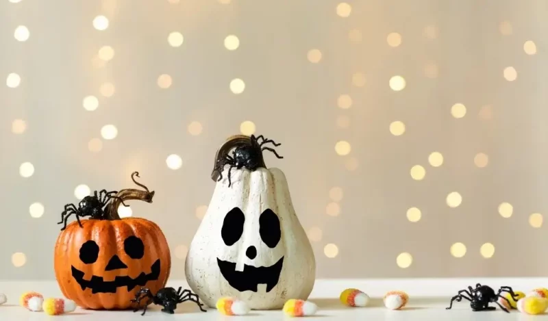 cadilar-bayrami-susleri