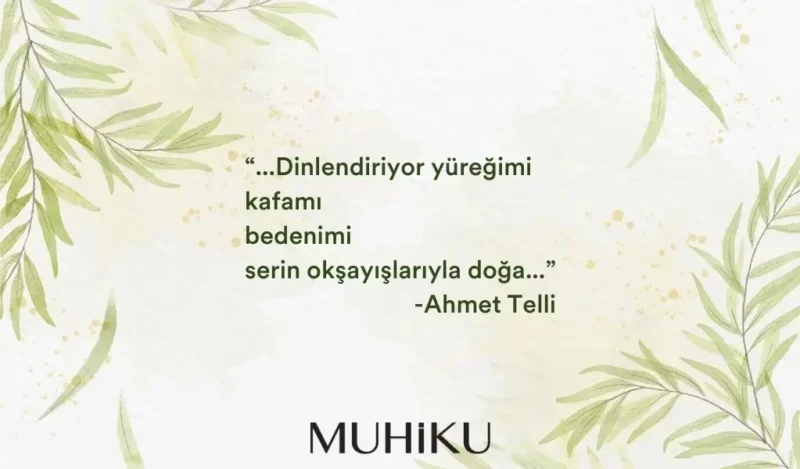 geceleyin-kirda-ahmet-telli