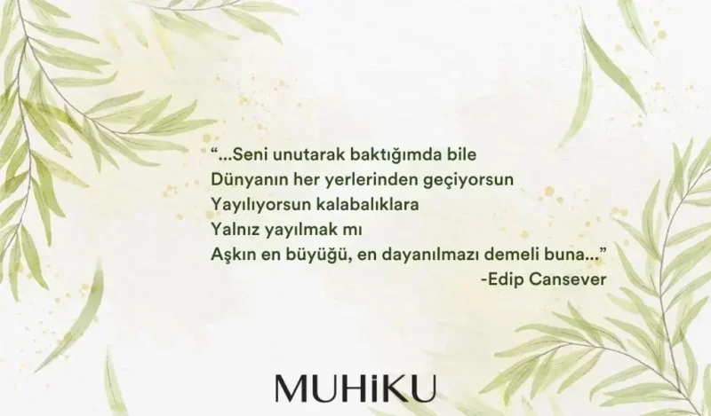 o-mavilik-derdi-edip-cansever