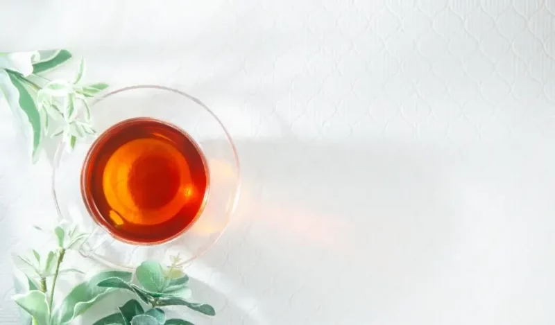 rooibos-cayi-besin-hangi-hastaliklara-iyi-gelir