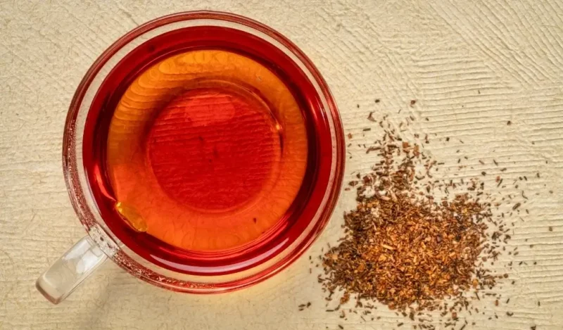rooibos-cayi-nedir