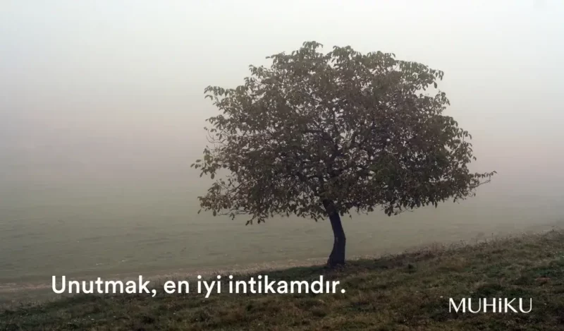 etkileyici-intikam-sozleri