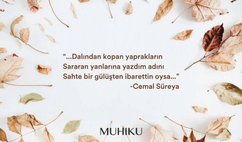 eyluldu-cemal-sureya