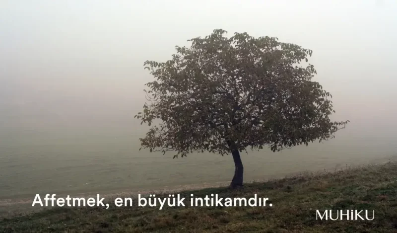 havali-intikam-sozleri