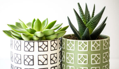 canlı çiçek türleri