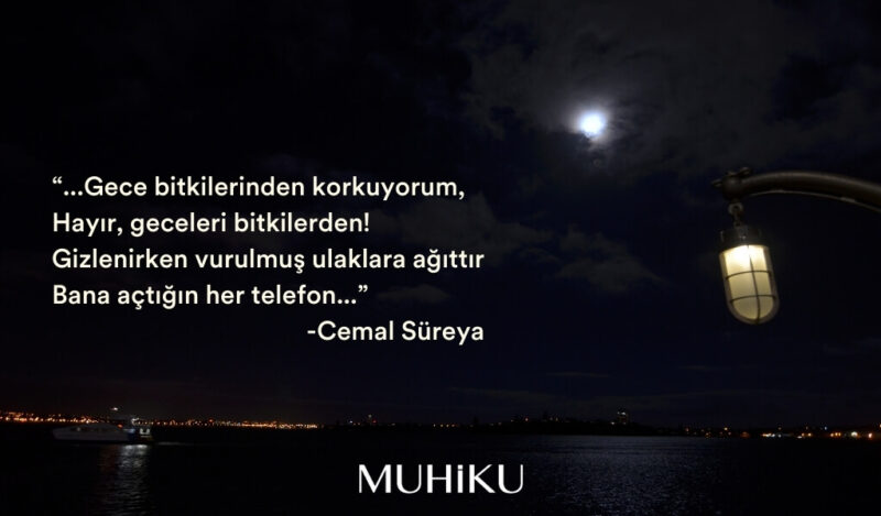 gece-bitkilerinden-cemal-sureya