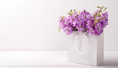 şebboy çiçeği bakımı