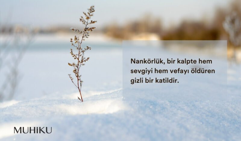 anlamli-nankorluk-sozleri