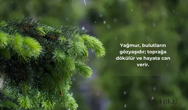 anlamli-yagmur-sozleri