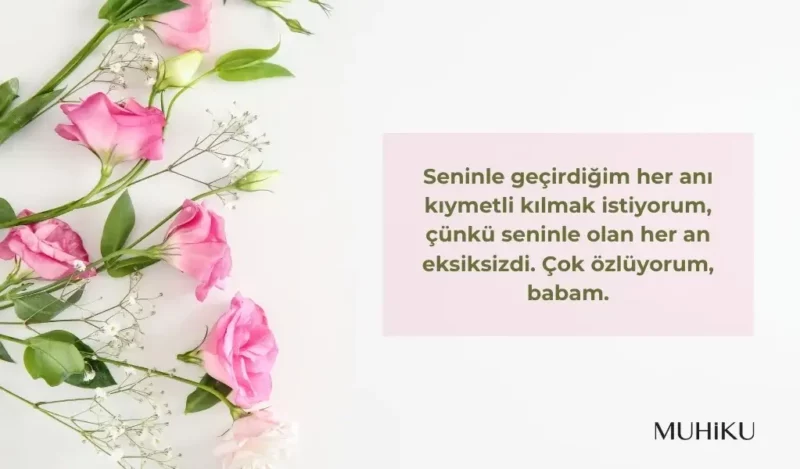 babaya-ozlem-mesajlari