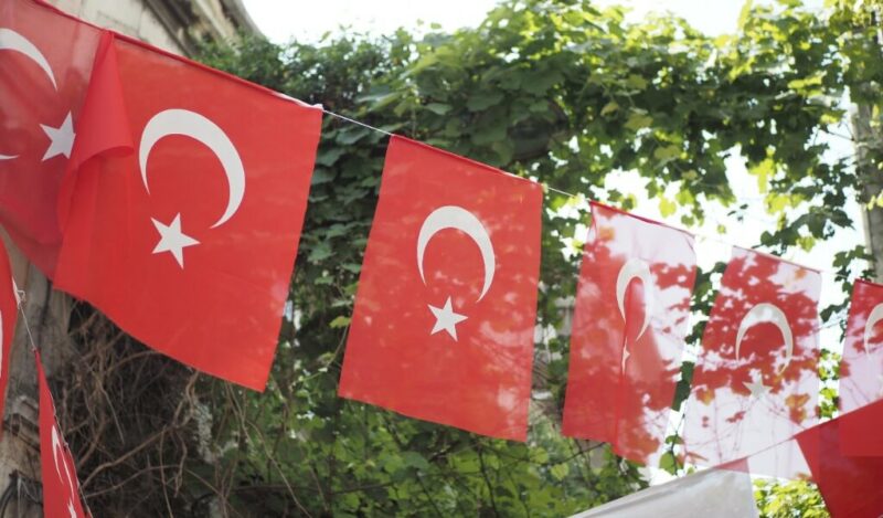 cahit-sitki-taranci-memleket-isterim