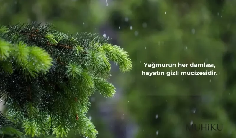 en-guzel-yagmur-sozleri