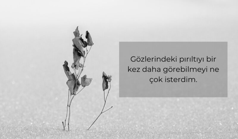 eski-sevgiliye-pismanlik-sozleri