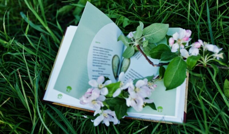 lirik-siirin-temalari