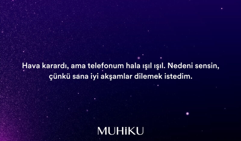 neseli-iyi-aksamlar-mesajlari