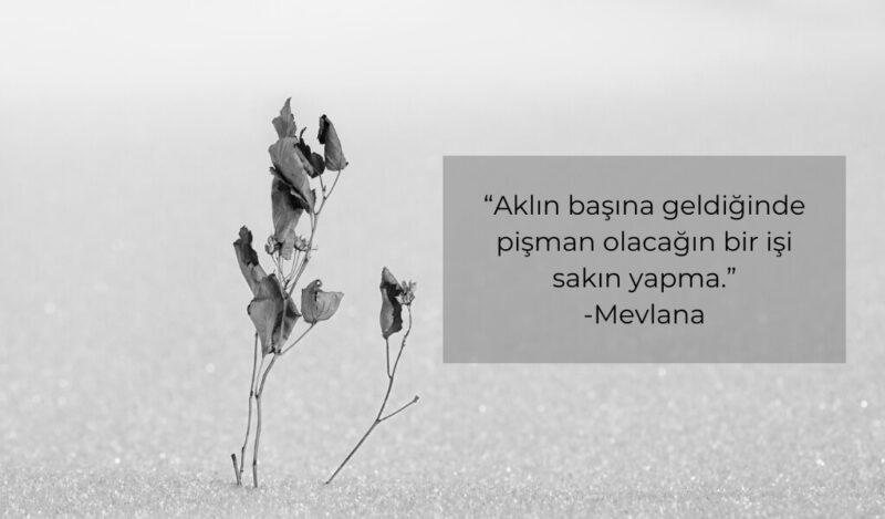 pismanlik-sozleri-mevlana