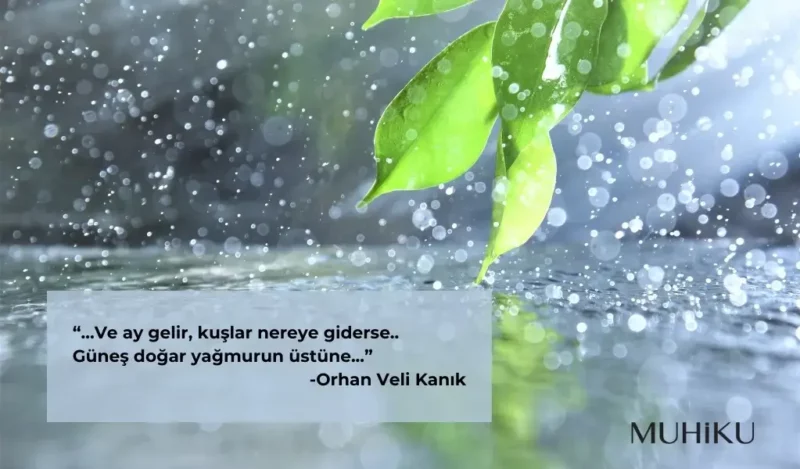 ustune-orhan-veli-kanik