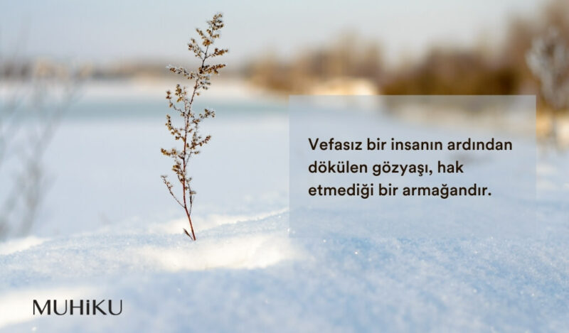 vefasizlik-ve-nankorluk-ile-ilgili-sozler