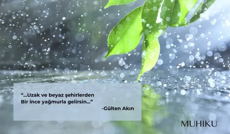 yagmurlu-gulten-akin