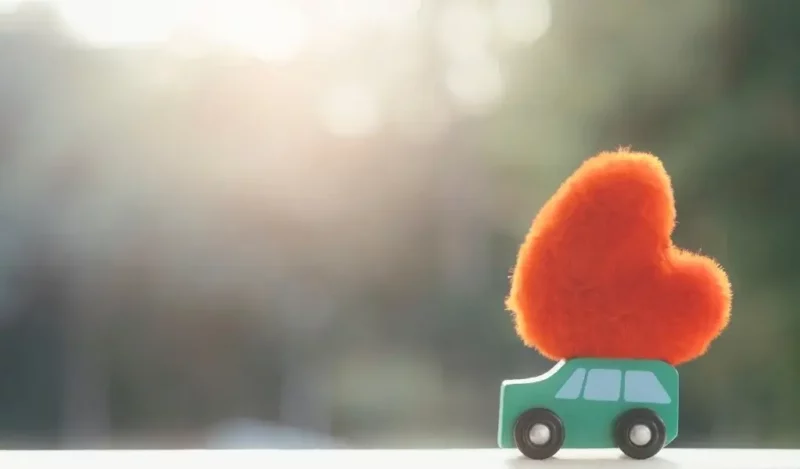 erkek-sevgili-rehbere-kaydetme