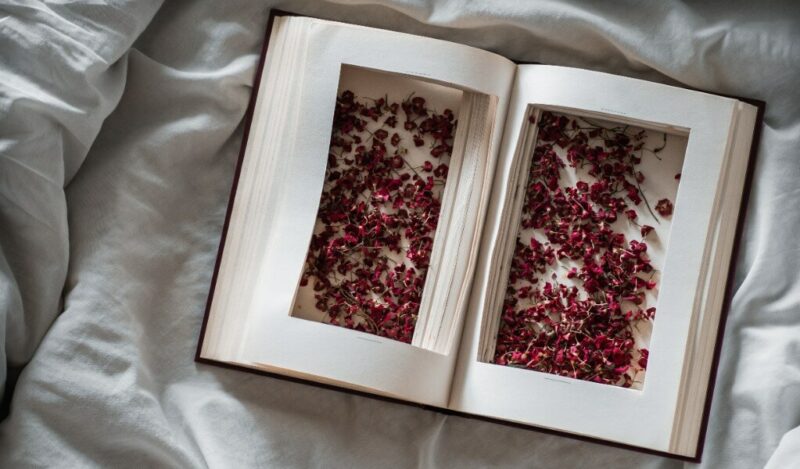 sevgiliye-kitap-yapma