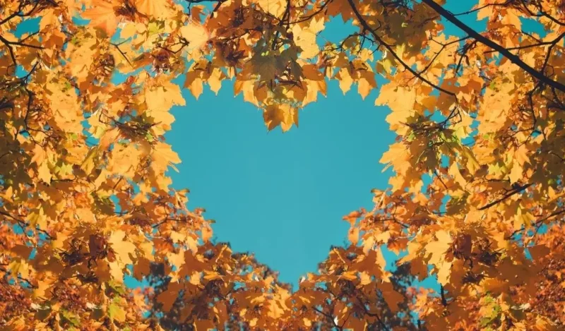 sevgiliyi-rehbere-kaydetme-fikirleri