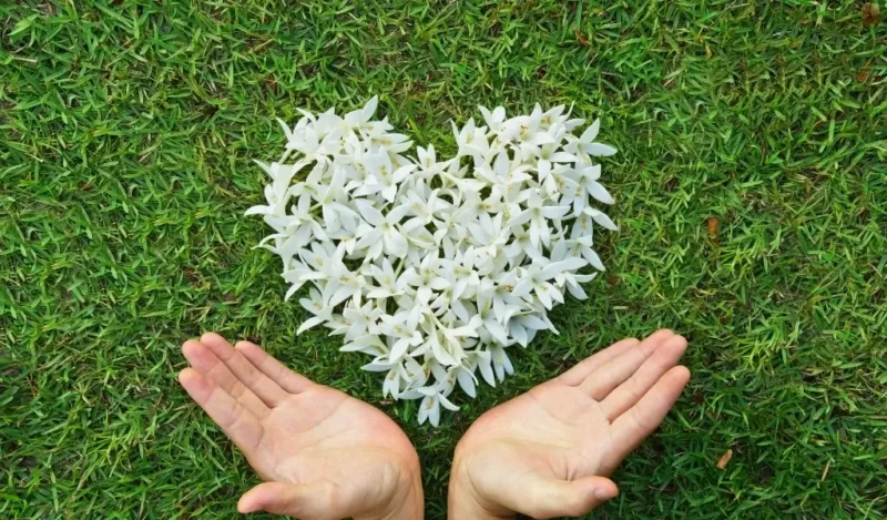 sevgiliyi-telefona-kaydetme