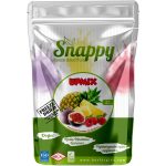 Dondurularak Kurutulmuş Karışık Meyve - Snappy