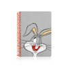 Bugs Bunny Butik Defter