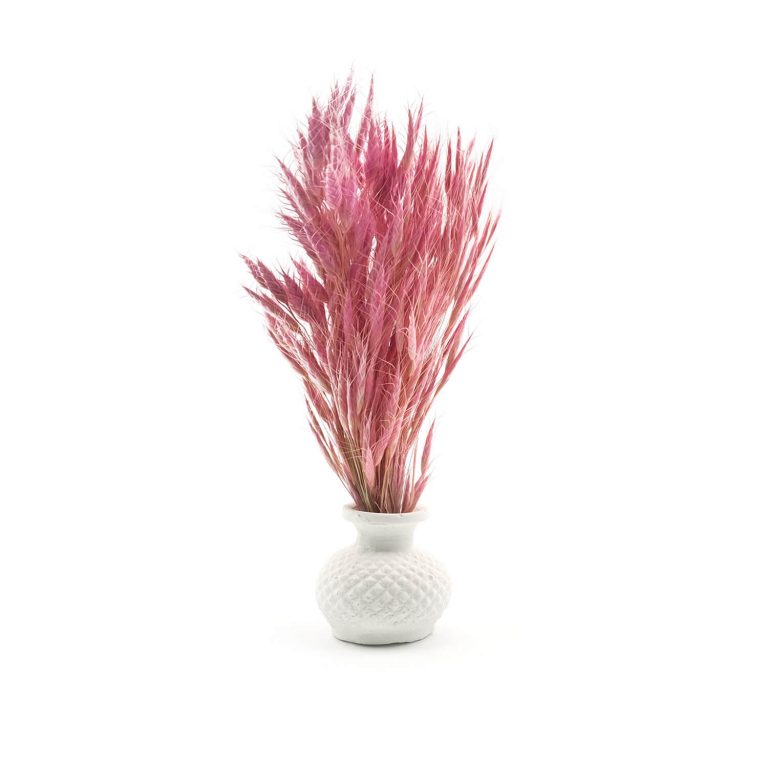 Mini Vazolu Pembe Kuru Çiçek