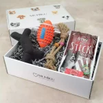 Köpeğe Oyuncak Hediye Kutusu