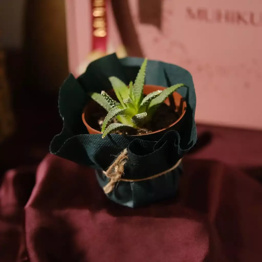 Güne Tatlı Bir Başlangıç Hediye Kutusu Güne Tatlı Bir Başlangıç Hediye Kutusu