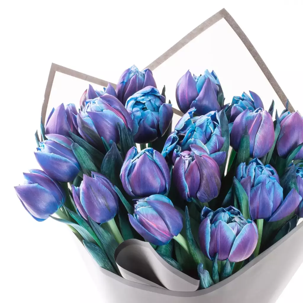 Galaxy of Love - Mavi Mor Renkli Lale Buketi Galaxy of Love - Mavi Mor Renkli Lale Buketi