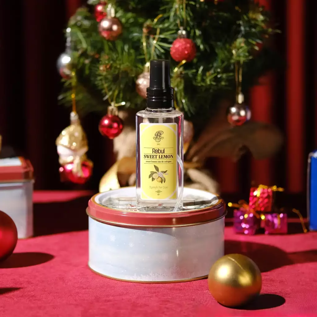 Tatlı Bir Hatıra Yılbaşı Hediye Kutusu Tatlı Bir Hatıra Yılbaşı Hediye Kutusu