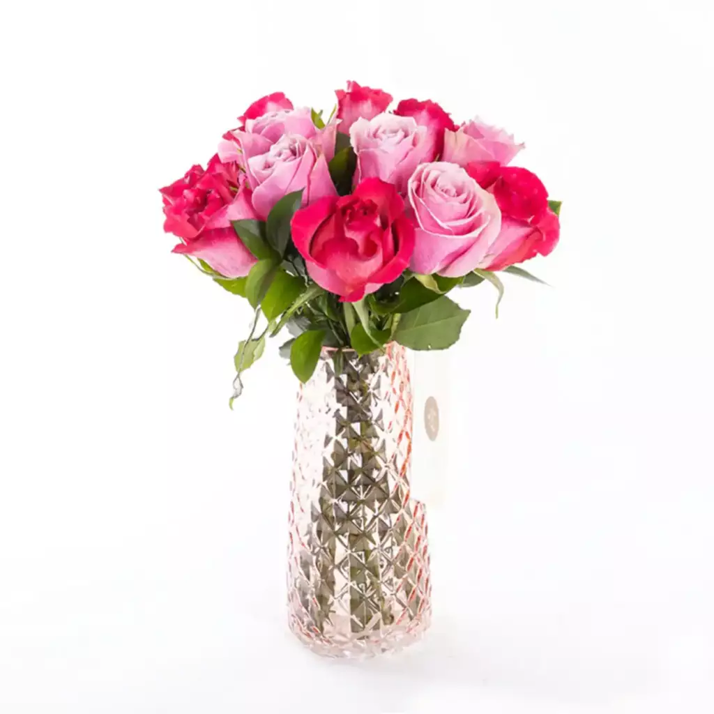 Candy - Pembe ve Fuşya Gül Çiçeği Candy - Pembe ve Fuşya Gül Çiçeği