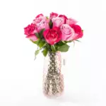 Candy - Pembe ve Fuşya Gül Çiçeği