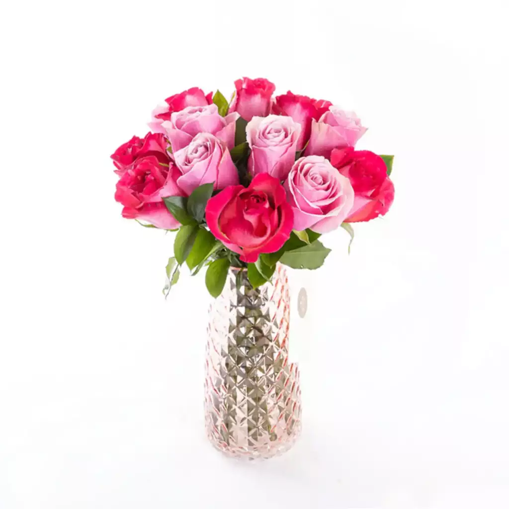 Candy - Pembe ve Fuşya Gül Çiçeği Candy - Pembe ve Fuşya Gül Çiçeği