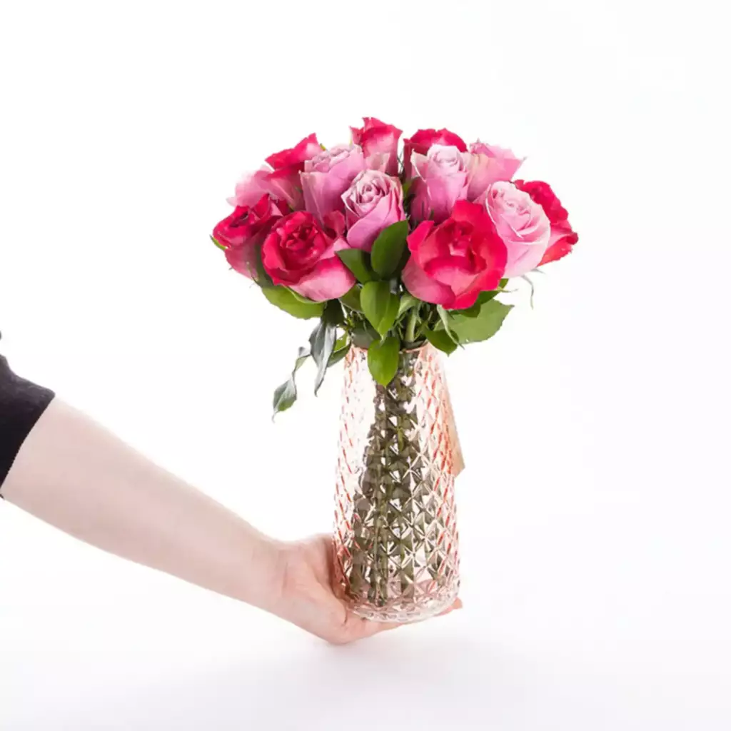 Candy - Pembe ve Fuşya Gül Çiçeği Candy - Pembe ve Fuşya Gül Çiçeği